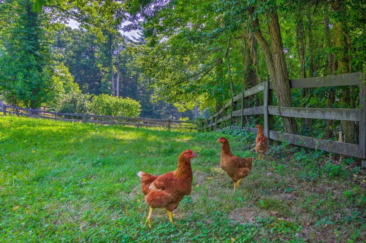 Rustic Hendersonville Farm Studio With Private Deck 外观 照片