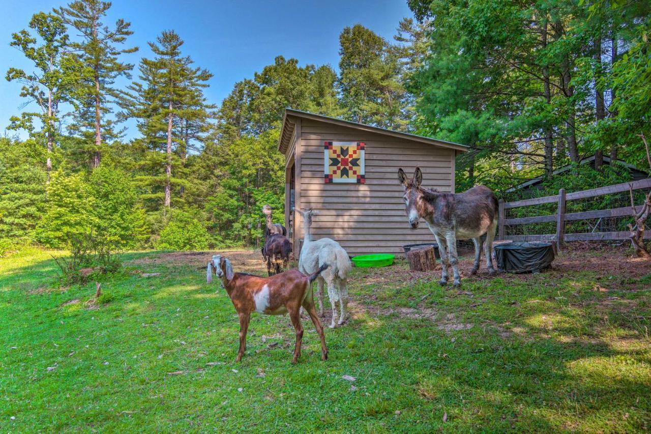 Rustic Hendersonville Farm Studio With Private Deck 外观 照片